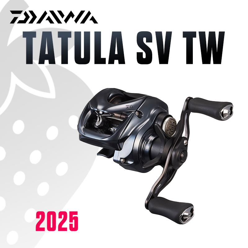 DAIWA 2025 TATULA SV TW100 Fis - Abu Garcia Reel Max review and price