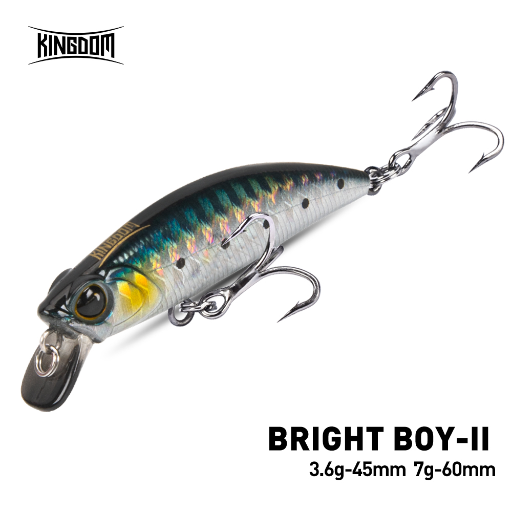 Kingdom Sinking Minnow Fishing - Fishing Lure Crankbait review and price